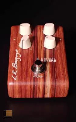 L.R Baggs - LR-ALIGN-REVERB 2